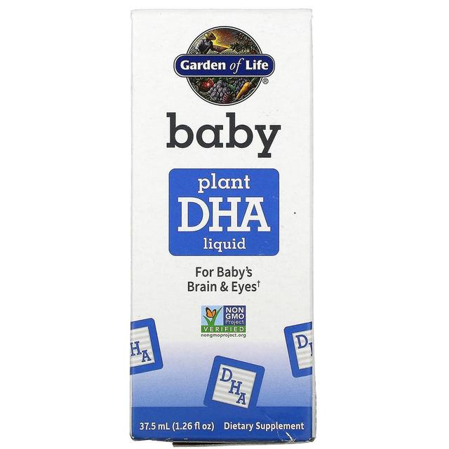 Garden of Life, Baby, Plant DHA Liquid, 1.26 fl oz ( 37.5 ml) on Productcaster.