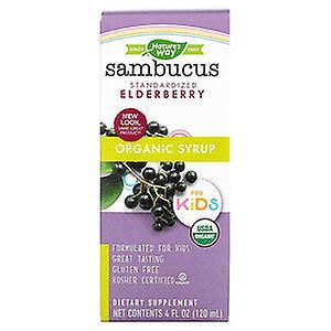 Nature's Way Nature's way, organic sambucus syrup for kids (4 oz) | maple herbs on Productcaster.