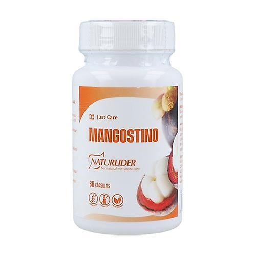 Naturlider mangosteen 60 capsules of 600mg on Productcaster.