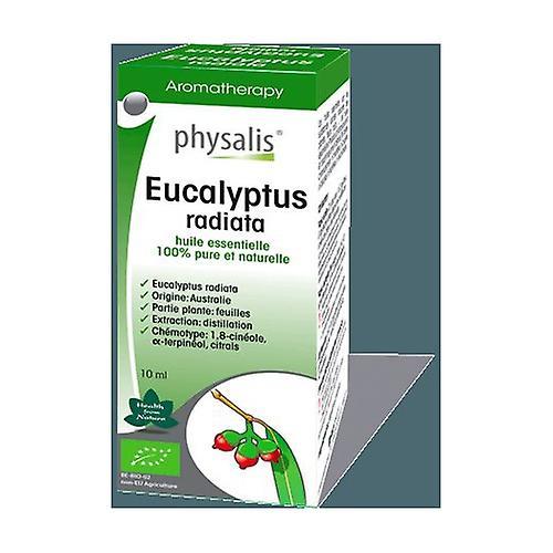 Physalis Eucalyptus Radiata Bio Essence 10 ml on Productcaster.