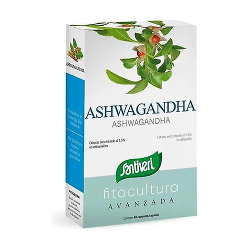 Santiveri Plants fit ashwagandha capsules 40 capsules on Productcaster.