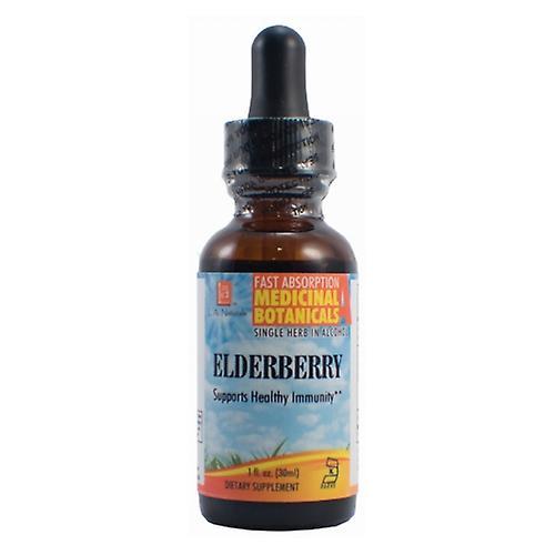 LA Naturals L. A . Naturals Elderberry Organic, 1 Oz (Förpackning med 1) on Productcaster.