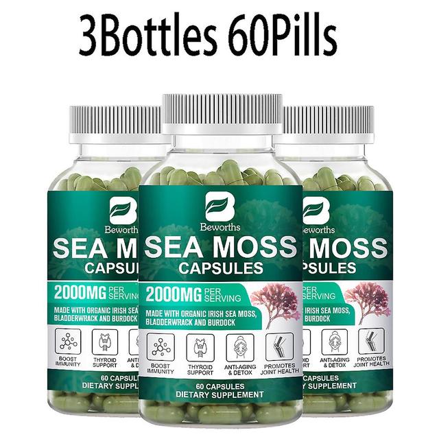 Visgaler 120pc Organic Sea Moss Pill Plus Bladder & Burdock Root For Intestinal Health & Immune Support & Thyroid Supplements 3bottles 60 pills on Productcaster.