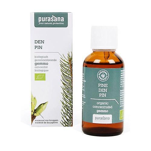 Purasana Pine tree 50 ml on Productcaster.