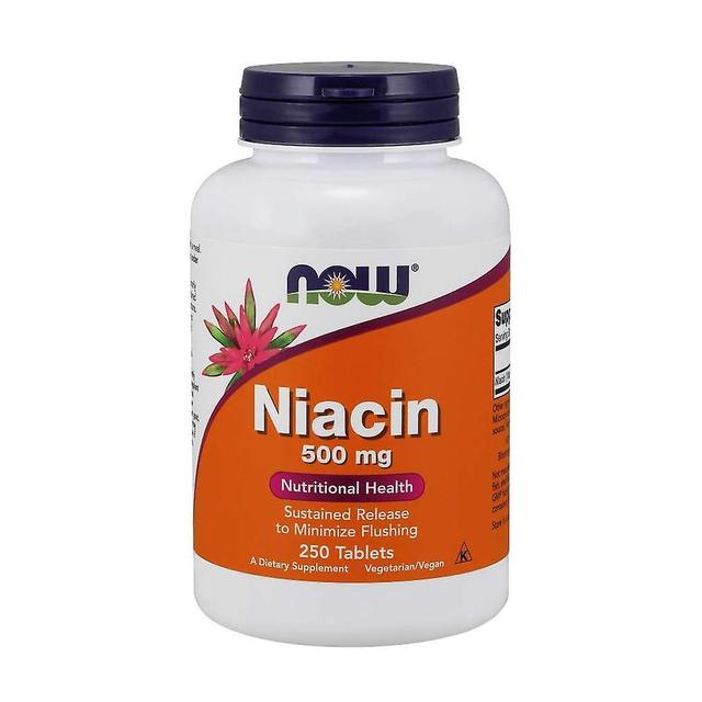 NOW Foods Niacin 500 MG BI4761 on Productcaster.