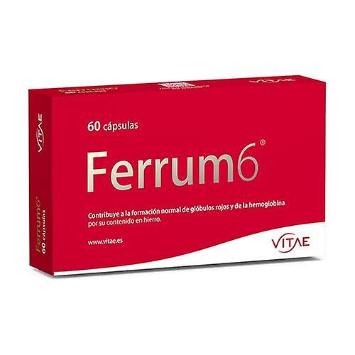 Vitae FerVita 60 capsules (Ferrum6) 60 capsules on Productcaster.