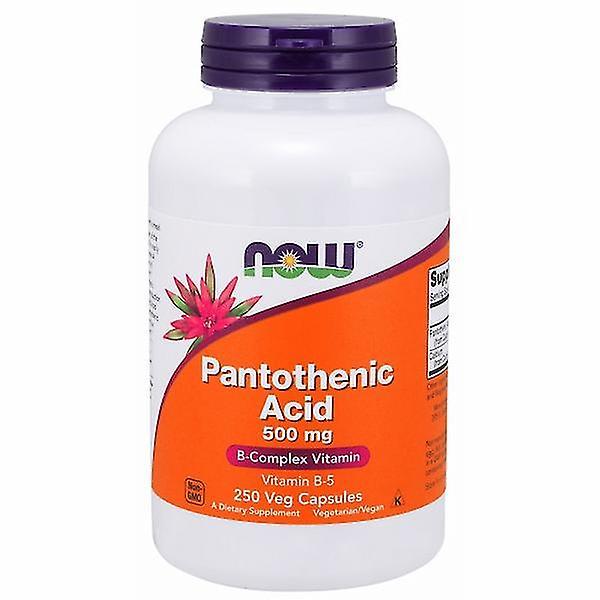 Pantoteenihappo, 500 mg, 250 korkkia (1 kpl pakkaus)- on Productcaster.