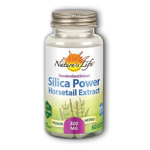 Nature's Life Silica-Power, 60 Caps (Pack of 4) on Productcaster.