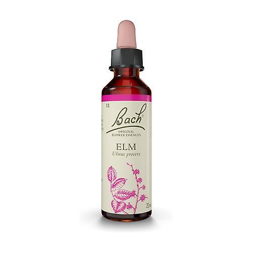 Bach Flower Essences 11 - Elm 20 ml kvetinového elixíru on Productcaster.