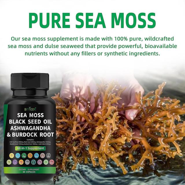 All In 1 Sea Supplement, Sea Capsules, Support, Sustained Sea Moss kapselit 60PCS-1Bottle on Productcaster.