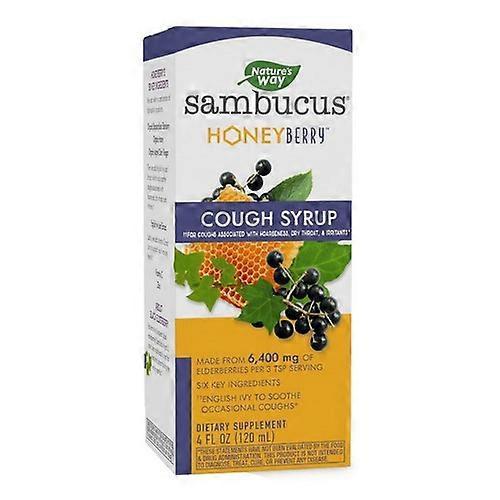 Nature's Way Sambucus HoneyBerry Syrup, 4 Oz (Pack of 1) on Productcaster.