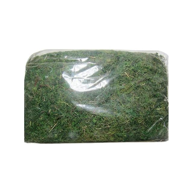 400/600g Preserved Forest Moss Multipurpose Home Decorations Accessory 400 grams on Productcaster.