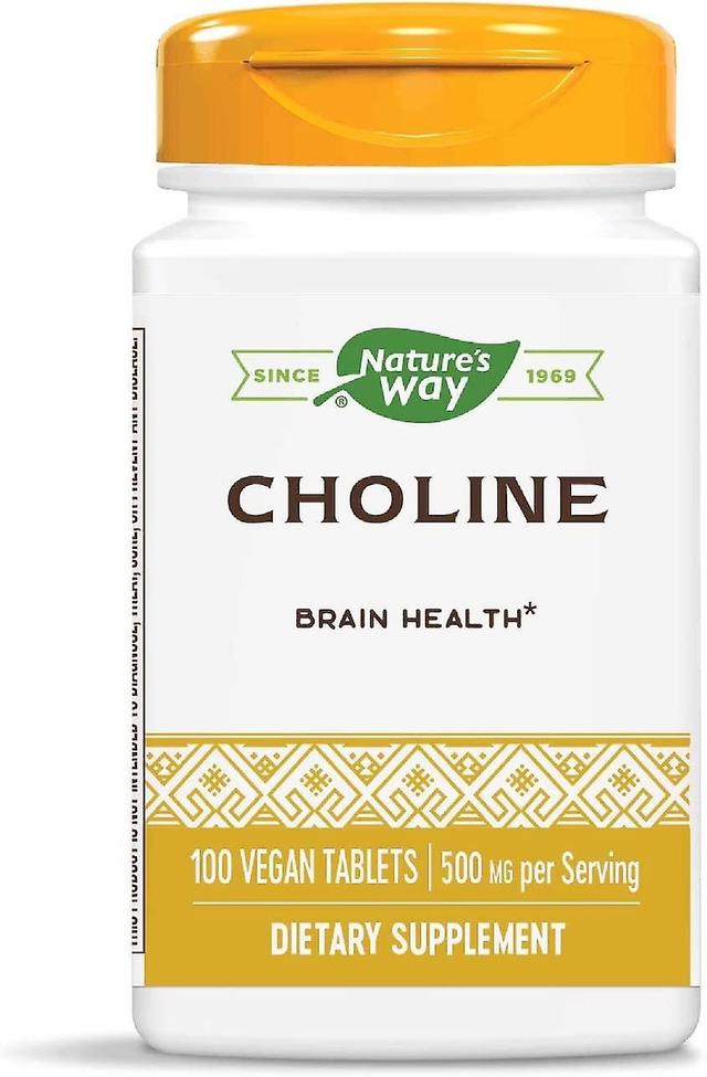 Nature's Way Choline 500mg 100 Vegan Tablets on Productcaster.