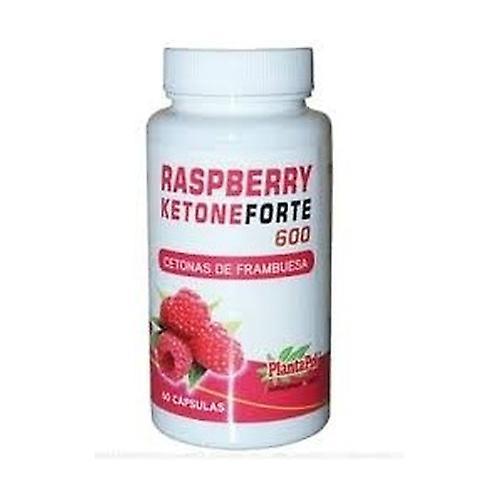 Planta Pol Raspberry Forte 600 Ketone 60 capsules on Productcaster.