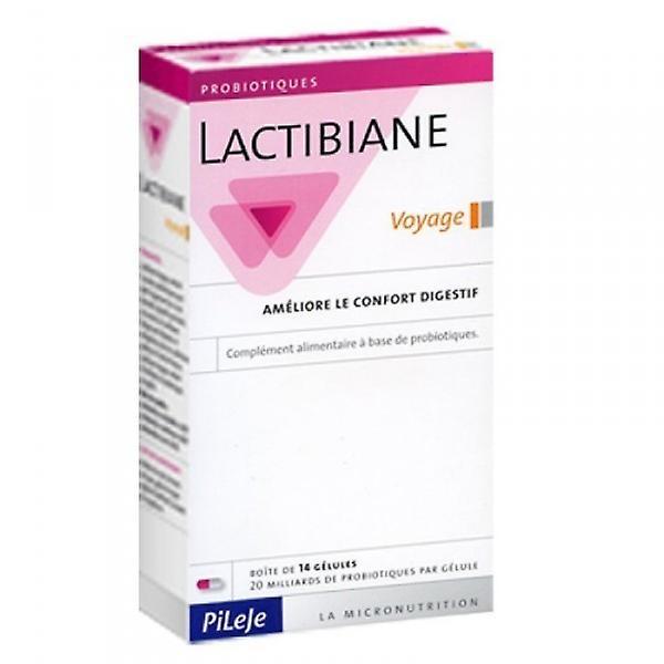 Pileje Lactibiane Voyage 14 Capsules on Productcaster.