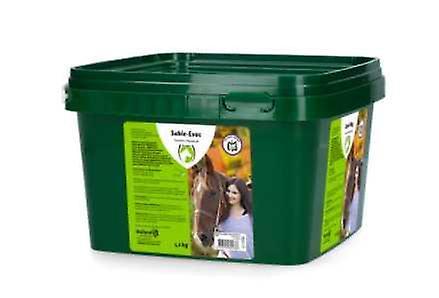 Excellent Horse Health Aid Psyllium 1,2Kg on Productcaster.