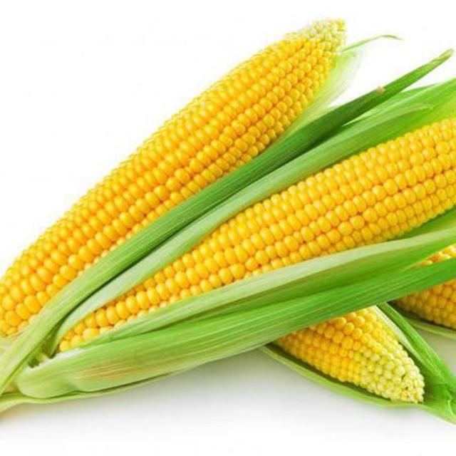 2 x 1 Bag Corn Seed Natural High Germination Rate Sweet Delicious Waxy Corn Seed for Greenhouse Yellow on Productcaster.