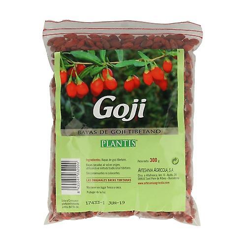 Plantis Goji 300 g on Productcaster.