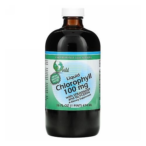 World Organics Chlorofil z płynem spearmint & Glycerin Liquid, 100 mg, 16 FL Oz (opakowanie 3) on Productcaster.