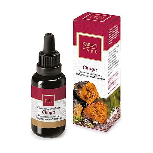 Hiranyagarba Karoti-take chaga 30 ml of floral elixir on Productcaster.