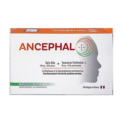 Evidency Lab ancephal migraine 30 capsules on Productcaster.