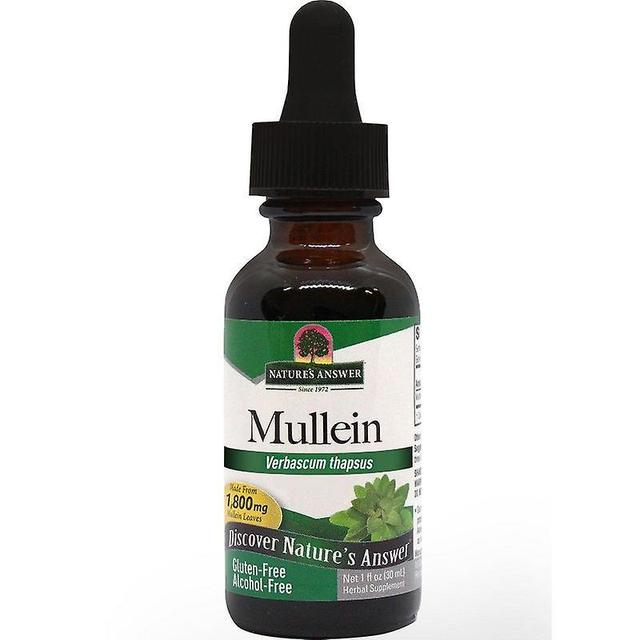 Nature's Answer Mullein Leaf 30ml 1374 on Productcaster.