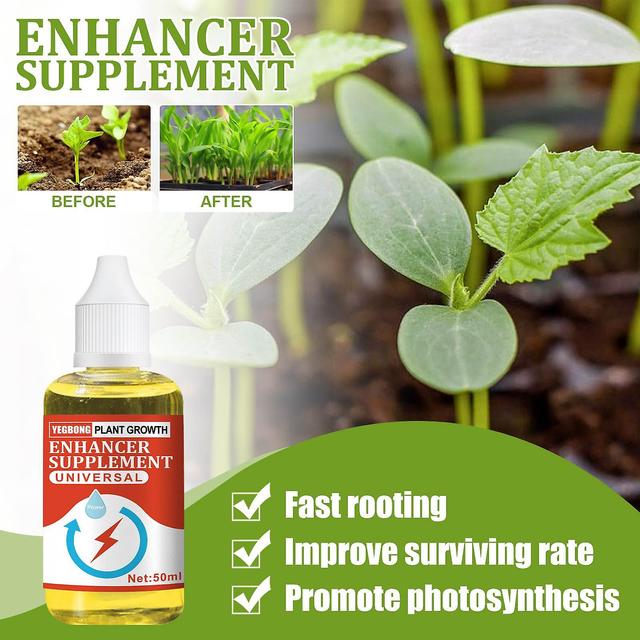 unbrand Tools/Office Plant Growth Enhancer Supplement,Improve Surviving Rate,Promote Photosynthesis,50MLOutdoor Structures A on Productcaster.