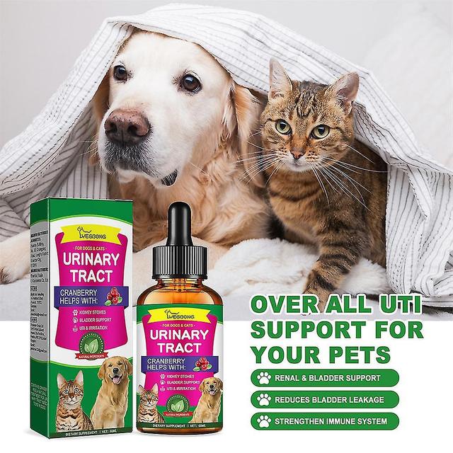 Guoguo 1-3pcs Cat & Dog Urinary Tract Infection Treatment & Natural UTI Medicine,Kidney and Bladder Support Supplement, Prevention Incontinence & B... on Productcaster.