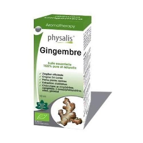 Physalis Ginger Essence 10 ml on Productcaster.