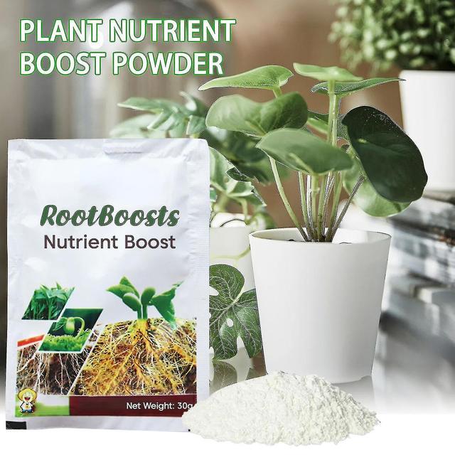 150g živného prášku Rootboost, 30g/vrecko prášok z hormónu zakorenenia, prášok na zakorenenie rastlín, silné zdravé korene 3Bag on Productcaster.