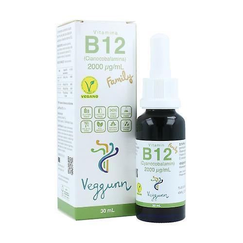 Veggunn Vitamin B12 Family 30 ml on Productcaster.