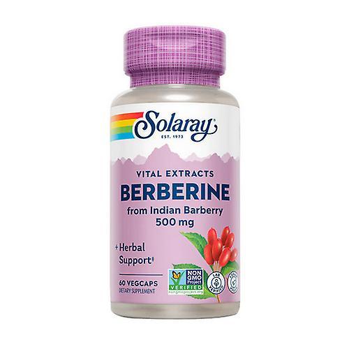 Solaray Berberine, 500 mg, 60 Count (Pack of 3) on Productcaster.