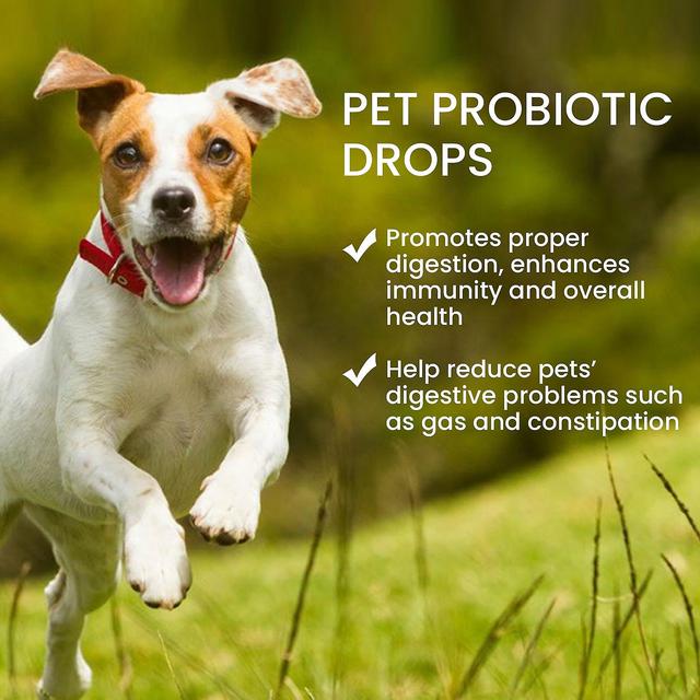 Nspiel Premium probiotica voor honden, katten, verlichten maagklachten, slechte adem, gezond spijsverteringsstelsel, spijsverteringsenzymen, prebio... on Productcaster.