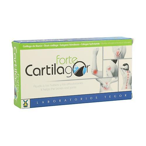 Tegor Cartilagor Forte 40 capsules on Productcaster.