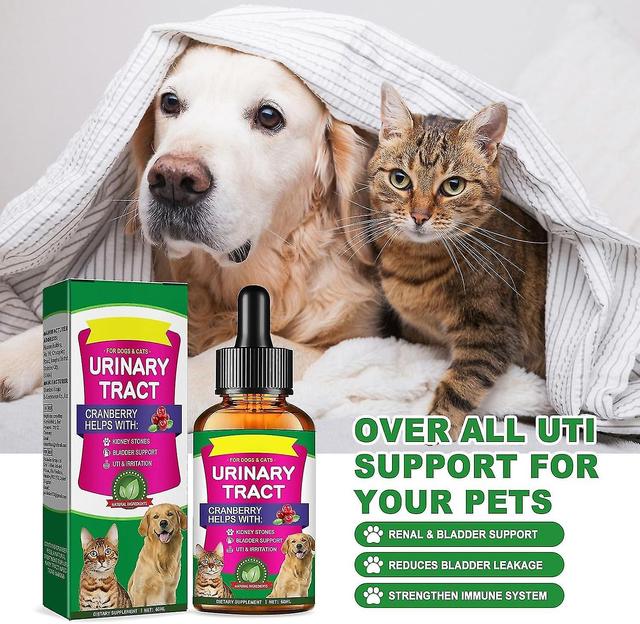 Cat & Dog urinvejsinfektion Behandling & Natural Uti Medicin, nyre og blære støtte supplement, forebyggelse inkontinens &; blæresten, Ke 3 Pcs on Productcaster.