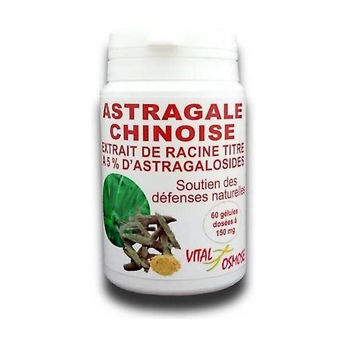 Vitalosmose Chinese Astragalus, root extract 60 capsules on Productcaster.