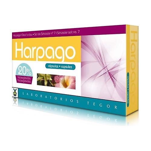 Tegor Harpago (Harpagofito) 40 kapselia on Productcaster.