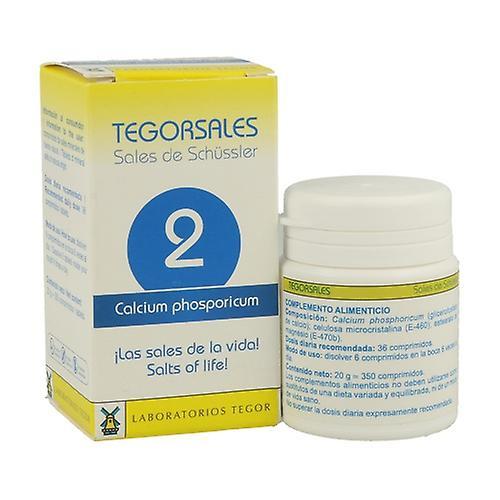 Tegor Calcium-Phosp D6 Salts 2 20 g on Productcaster.