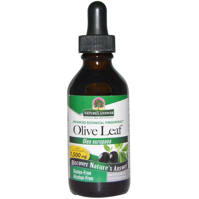 Nature's Answer, Olive Leaf, Alcohol-Free, 1,500 mg, 2 fl oz (60 ml) on Productcaster.