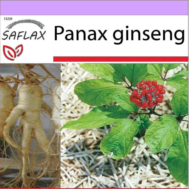 Tianm - 10 Seeds - Korean Ginseng - Ginseng Coren - Ginseng - Ginseng Genuino Coreano - Echter Koreanischer Ginseng_xmg on Productcaster.