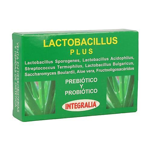 Integralia Lactobacillus Plus 60 kapselia on Productcaster.