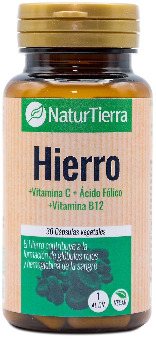 Naturtierra Iron 30 vegetable capsules on Productcaster.