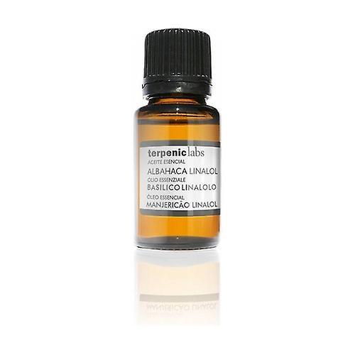 Terpenic Basil-Linalool Essential Oil 30 ml of essential oil on Productcaster.