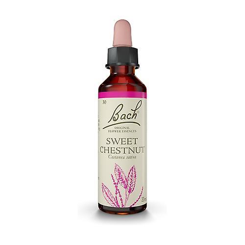 Bach Flower Essences 30 - Sweet Chesnut 20 ml of floral elixir on Productcaster.