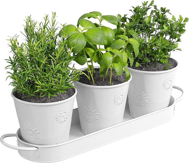 Hgbd-barnyard Designs Farmhouse Herb Garden Planter Indoor Planter Set With Tray Or Outdoor Apartment Window Planter Box, Windowsill Planter Box, Indo on Productcaster.