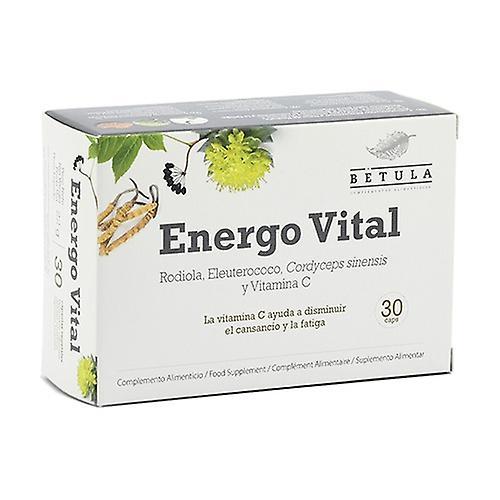 BETULA Vital Energy 30 kapsúl on Productcaster.