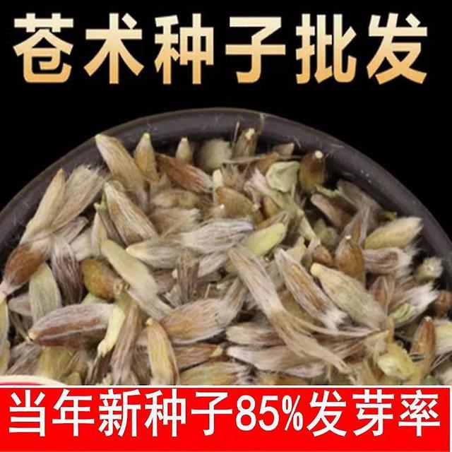 YouTaiwan Anomatis 50gNeu gesammeltes medizinisches Saatgut: Atractylodes atractylodes; Salvia miltiorrhiza; Codonopsis pilosula; Bupleurum platyco... on Productcaster.