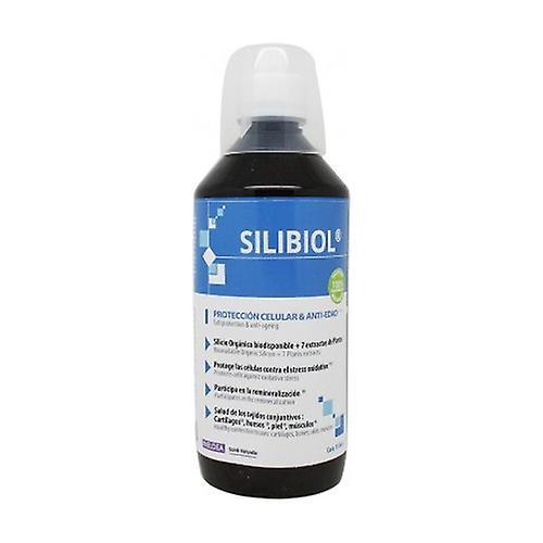 Ineldea Santé Naturell Silibiol silicon (lemon raspberry flavor) 500 ml (Lemon - Raspberry) on Productcaster.