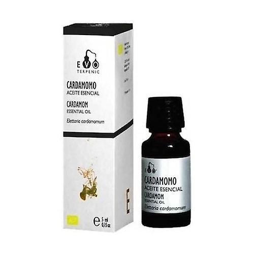 Terpenic Cardamom essential oil 5 ml of essential oil on Productcaster.