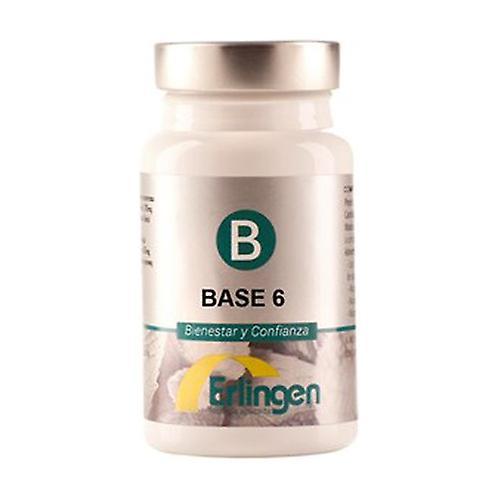 Erlingen Base 6 60 tablets on Productcaster.